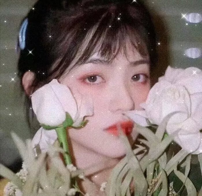 特工家族