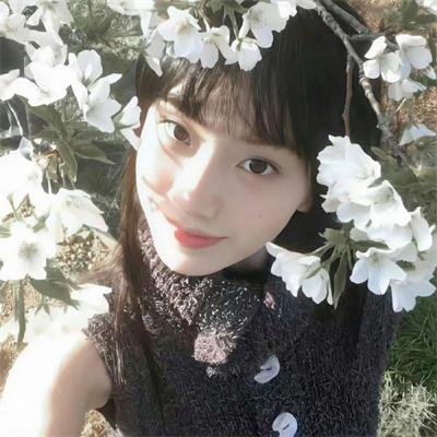 动画纪录