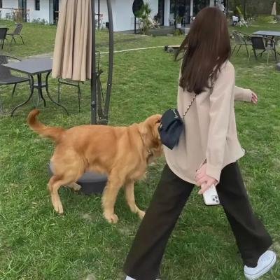 长安伏妖